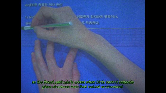 Birdsaver Report Volume 1 (버드세이버 보고서 제 1장)