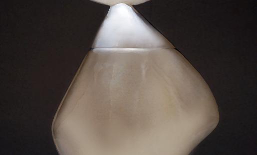 Winter Outing (겨울의 나들이)
